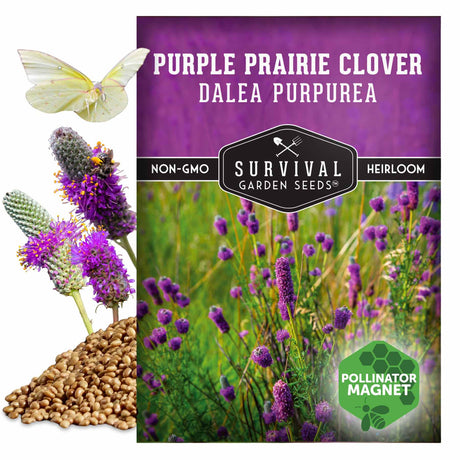 Survival Garden Seeds Purple Prairie Clover package with seeds and flowers on a white background