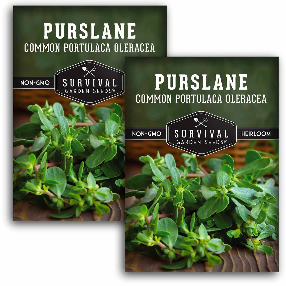2 packets of Purslane seeds