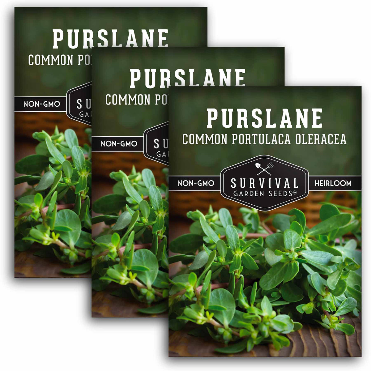 3 packets of Purslane seeds