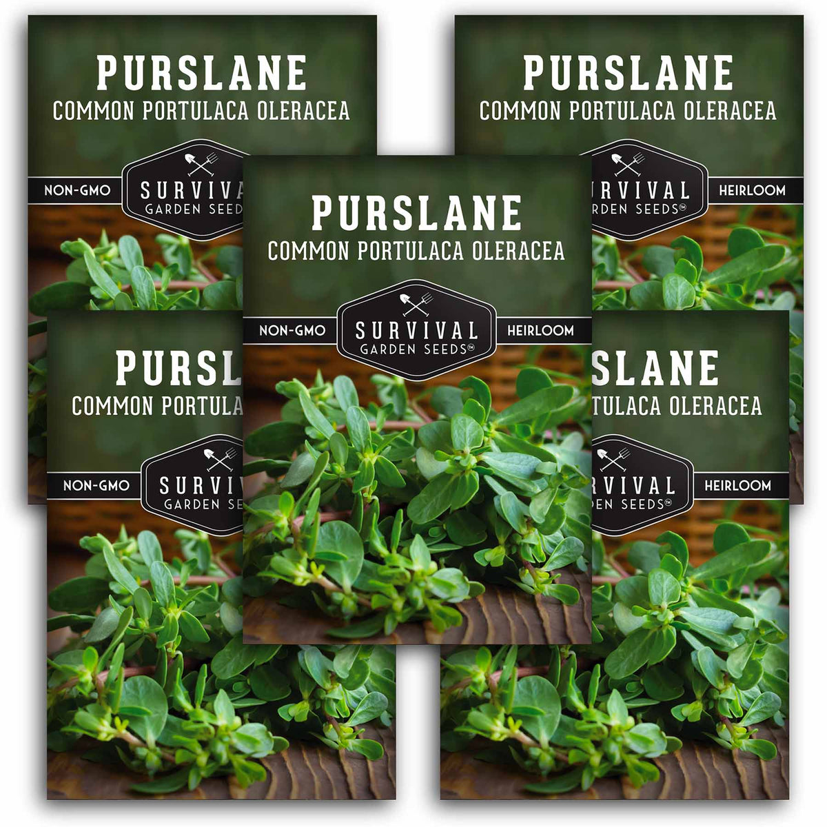 5 packets of Purslane seeds