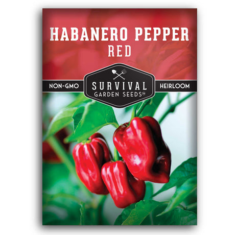 1 packet of Red Habanero Pepper Seeds