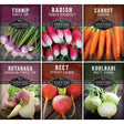 Root Vegetable Seed Collection