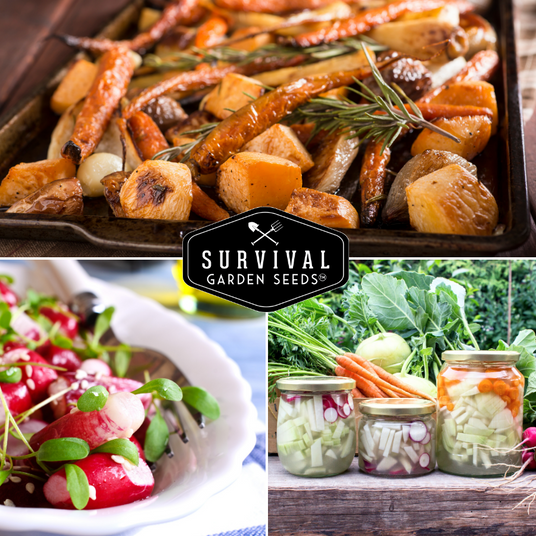 preserved and roasted root vegetables