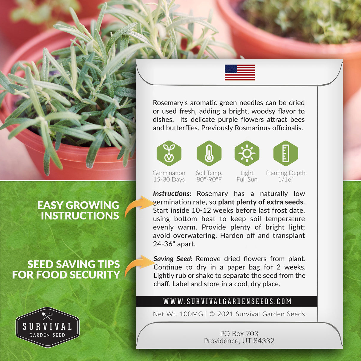 Rosemary seed growing instructions