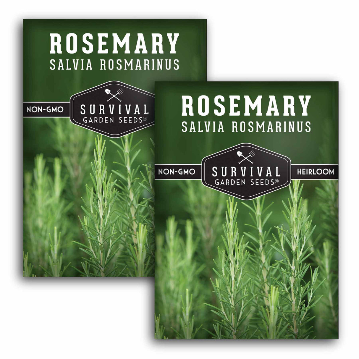 2 Packets of Survival Garden Seeds Rosemary Herb Seeds on a white background