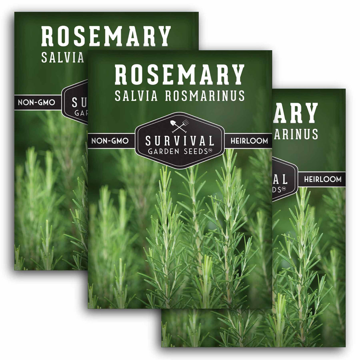3 Packets of Survival Garden Seeds Rosemary Herb Seeds on a white background