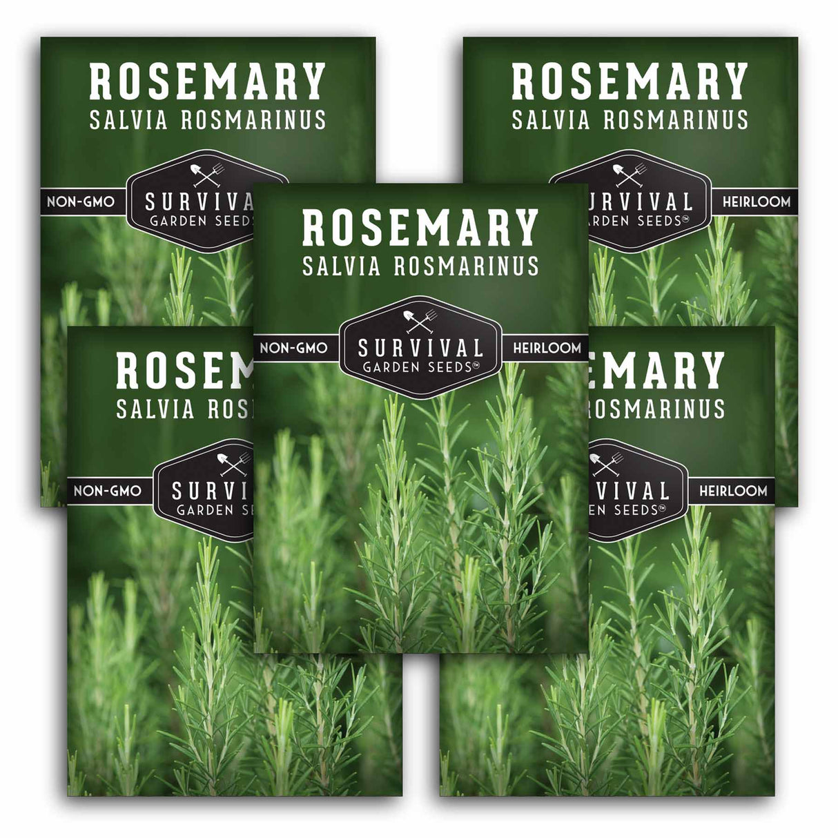 5 Packets of Survival Garden Seeds Rosemary Herb Seeds on a white background