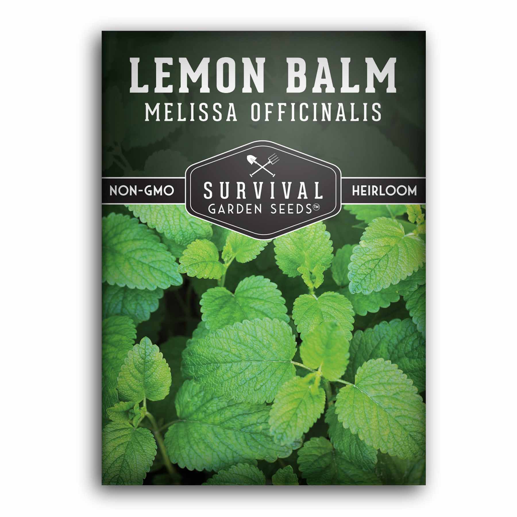 SGS-A-Lemon-Balm_1.jpg?crop=