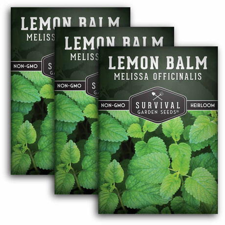 3 Packets of Lemon Balm seeds