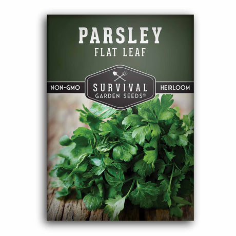 1 Packet of Flat Leaf Parsley seeds