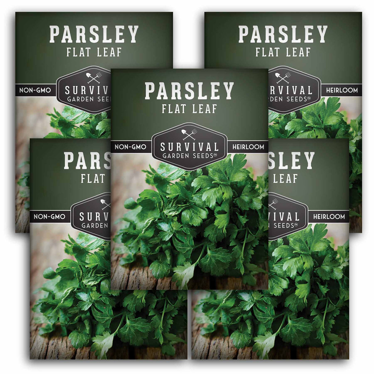 5 Packets of Flat Leaf Parsley seeds