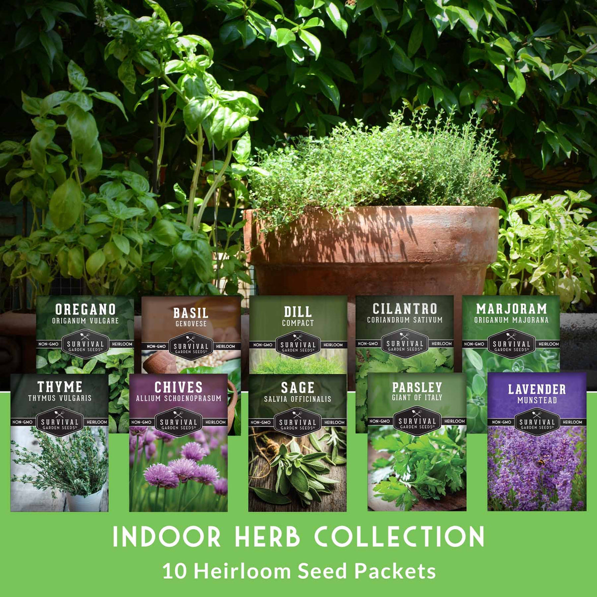 Indoor herb collection with seed packets and plants in a garden setting