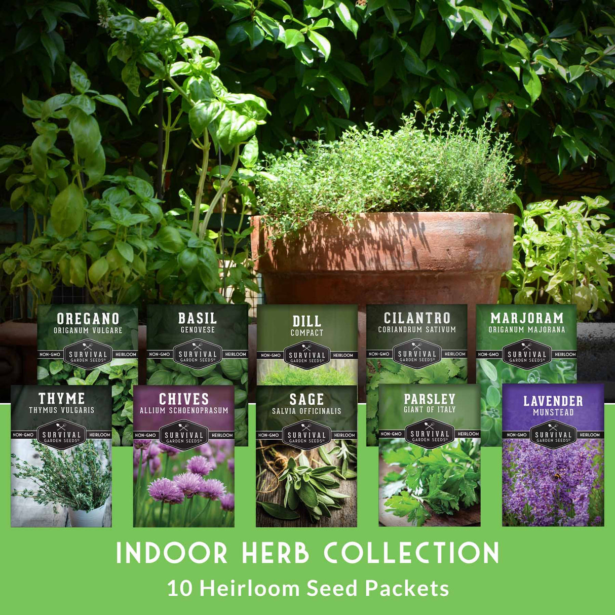 Indoor herb 10 collection