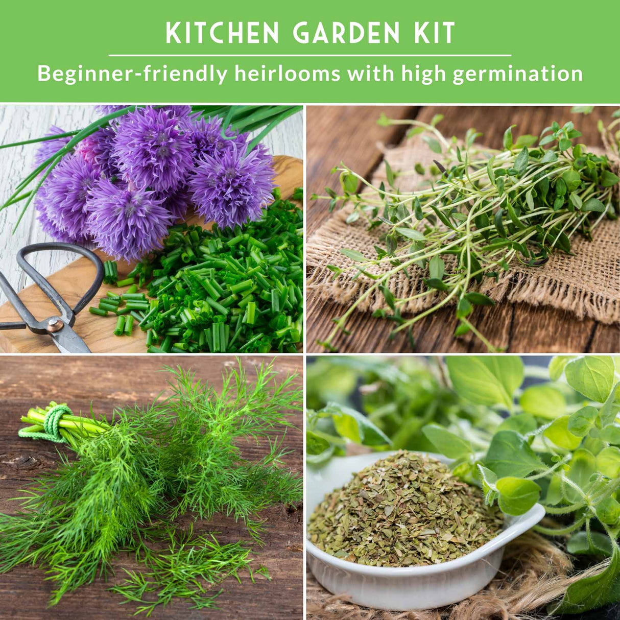 various herbs in a kitchen garden kit