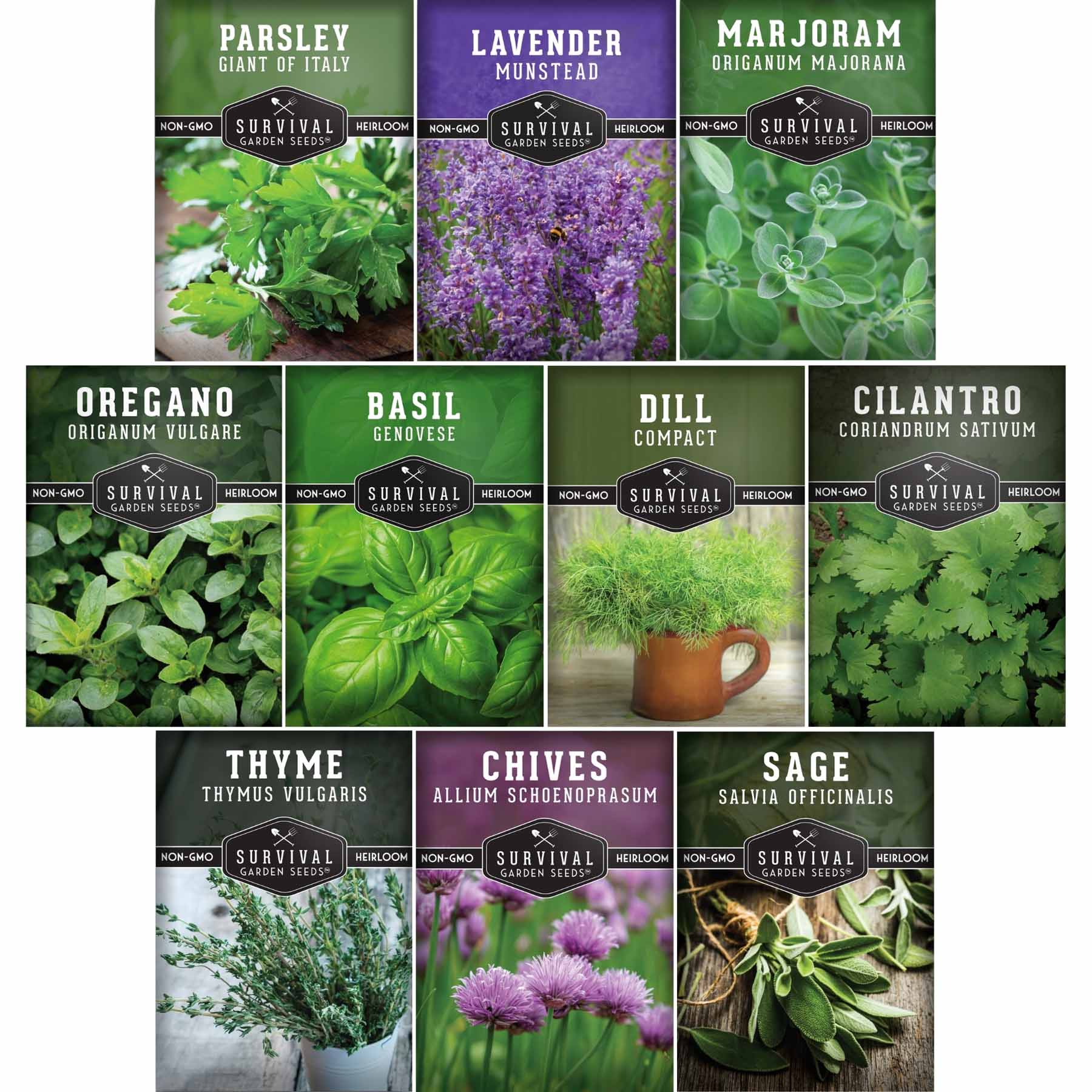 Herb Seeds 10 Variety Pack | Culinary – SurvivalGardenSeeds