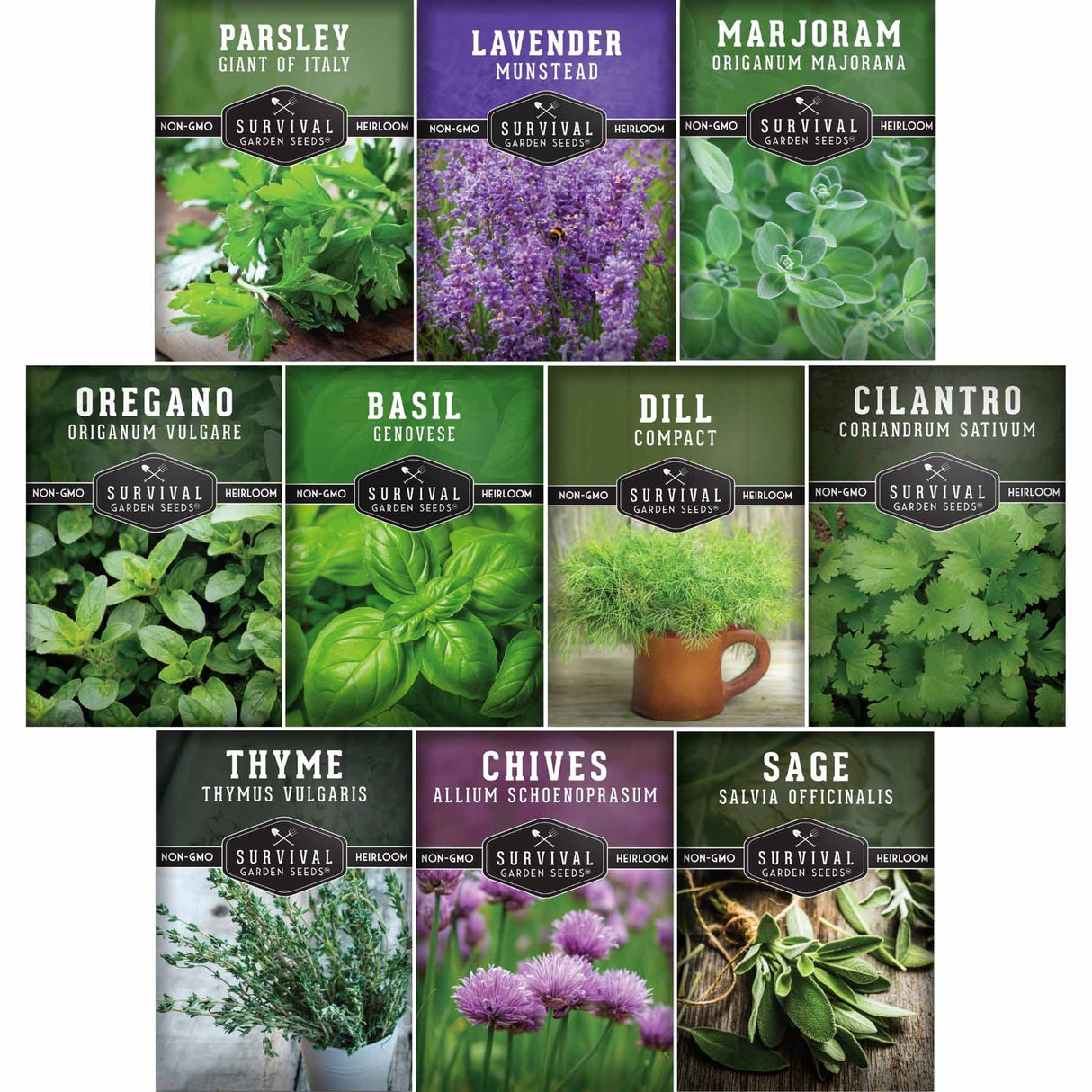 A grid of seed packet illustrations for herb garden seeds, including Parsley, Lavender, Marjoram, Oregano, Basil, Dill, Cilantro, Thyme, Chives, and Sage. Each packet shows a different herb photo with the herb name, variety, and Survival Garden Seeds branding.