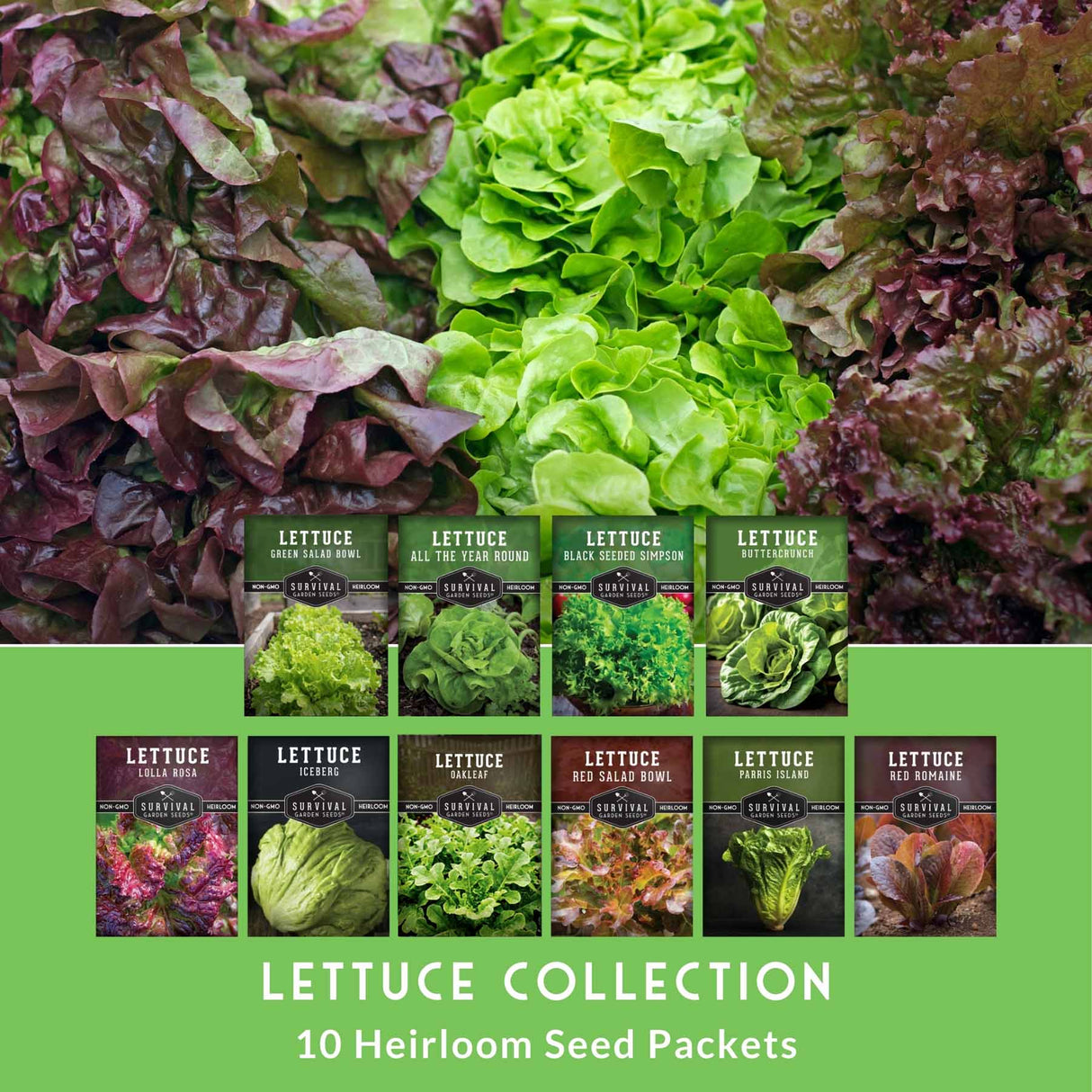Collection of lettuce seed packets with a variety of lettuce types on a green background.