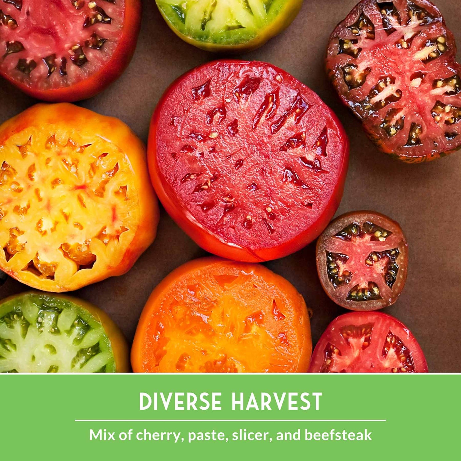Assorted sliced tomatoes including cherry, paste, slicer, and beefsteak on a brown background with 'Diverse Harvest' text.