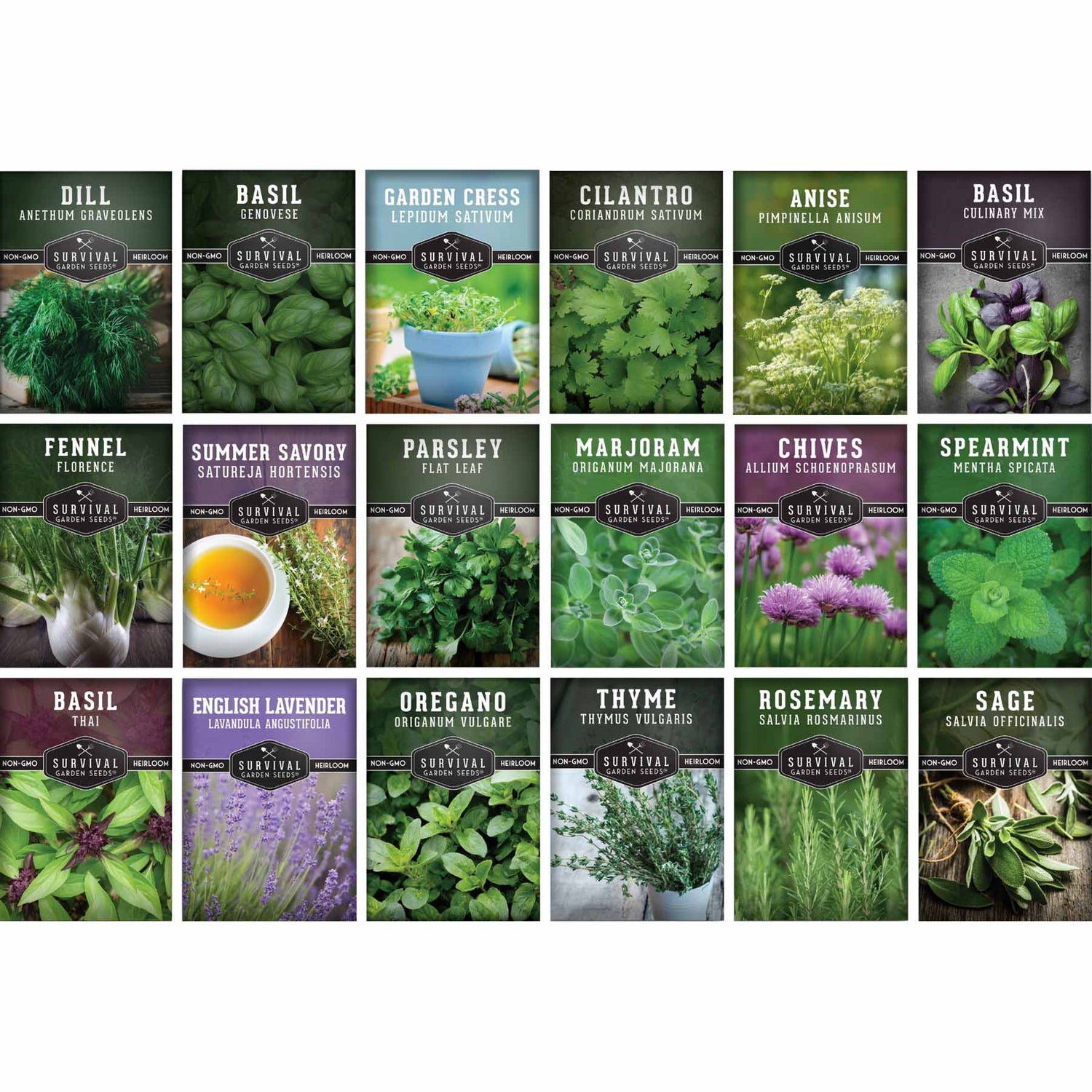 18 Culinary Herb Seed Packets