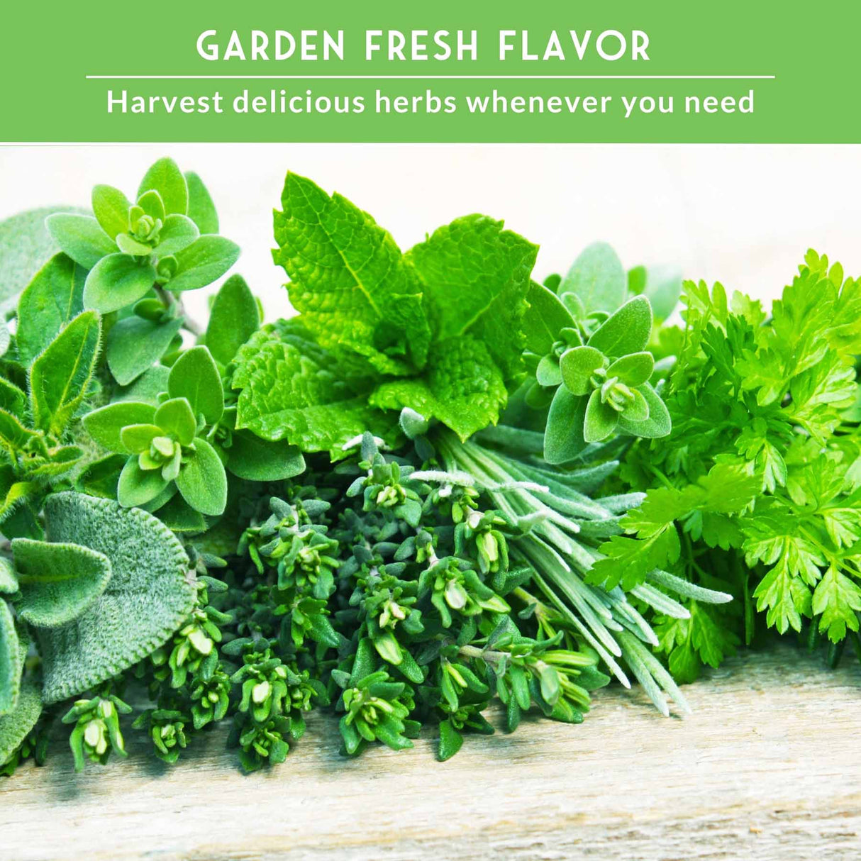 Bundles of fresh herbs with text that says Garden Fresh flavor