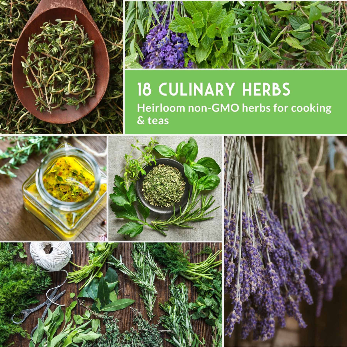 Various herbs with text that says 18 Culinary herbs
