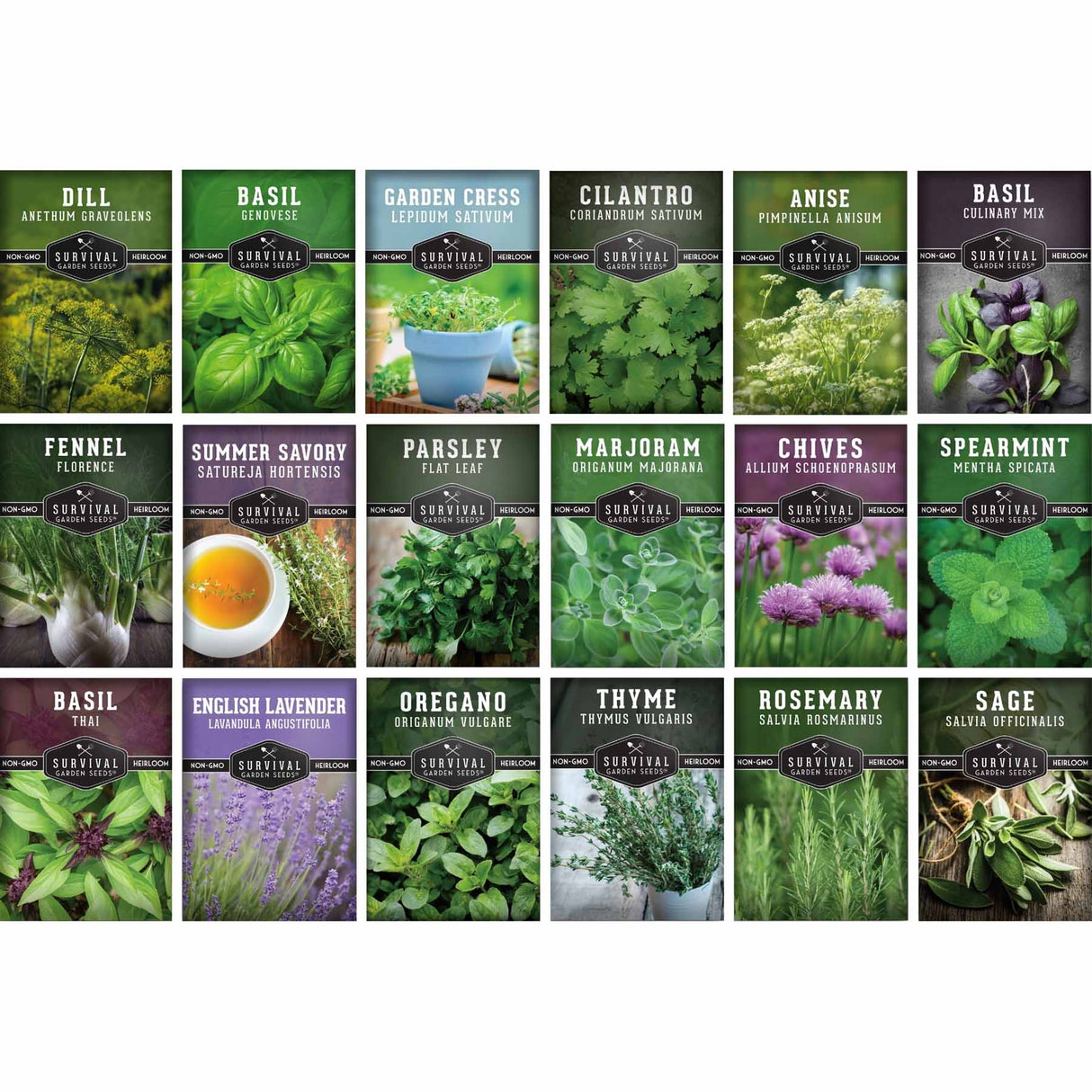 A grid of 18 seed packet designs for Survival herbs, featuring colorful photographs of various herbs like dill, basil, fennel, oregano, and sage with their names printed on each packet.