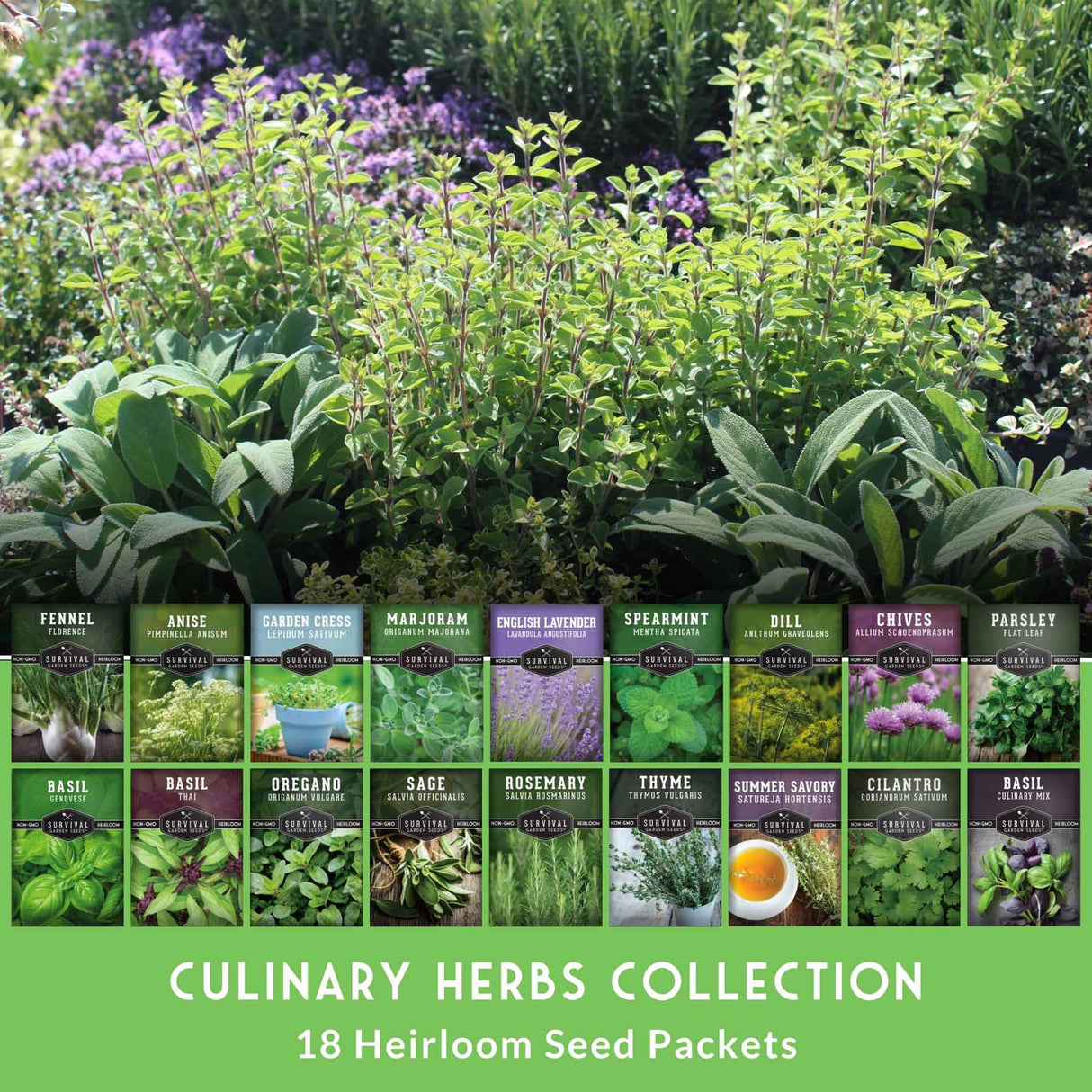 A promotional collage for a culinary herbs seed packet collection, showing a lush garden bed of various green herbs in the background with 18 individual seed packet cards arranged in two rows across the middle. The bottom features a green banner reading 'CULINARY HERBS COLLECTION 18 Heirloom Seed Packets'.
