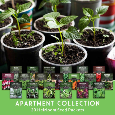 Collection of potted plants and seed packets labeled 'Apartment Collection' with 20 heirloom seed packets.