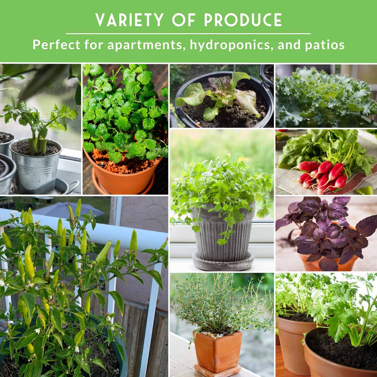 Collage of various potted plants with text about suitability for apartments, hydroponics, and patios.