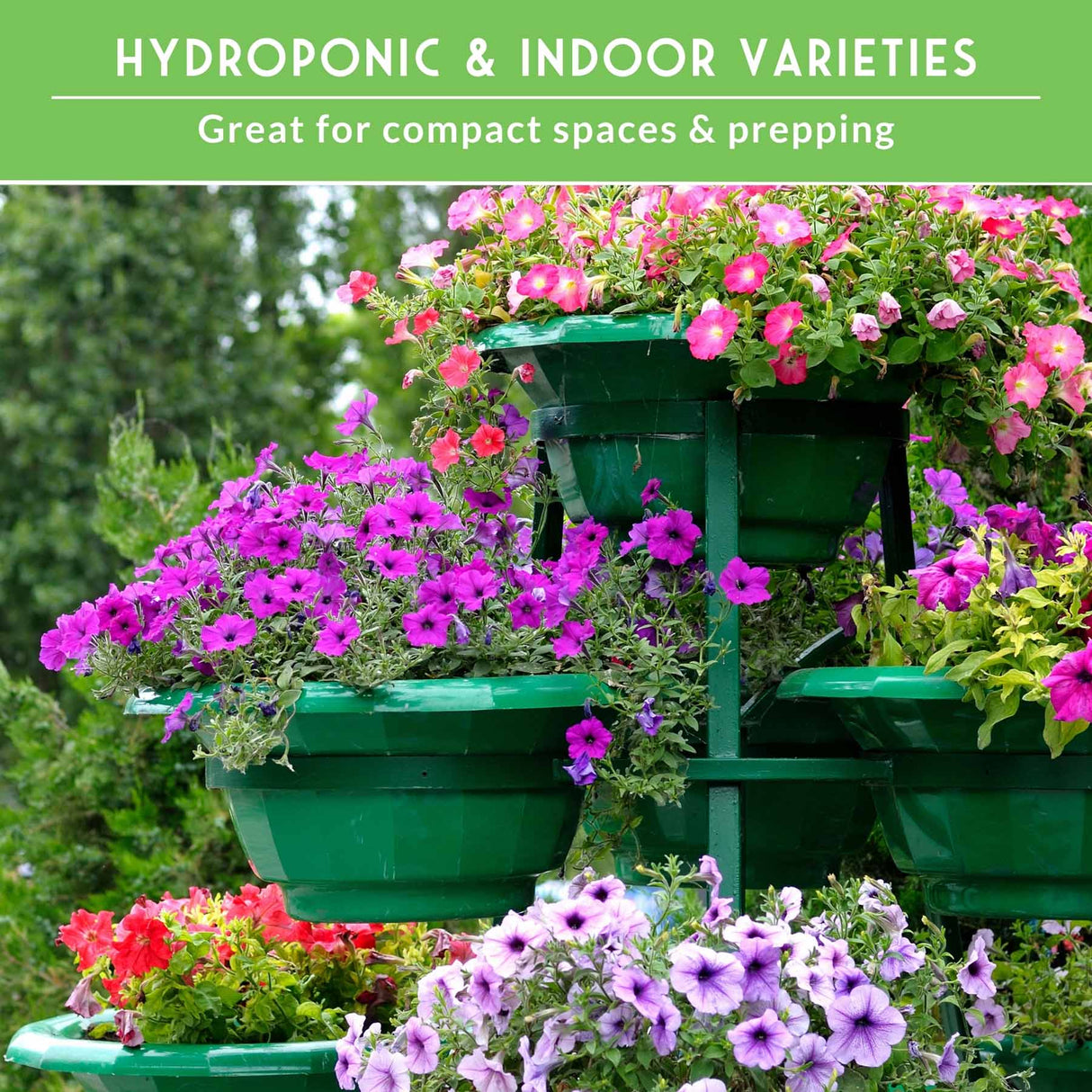 Hydroponic plant stand with pink, purple, and red flowers against a green background.