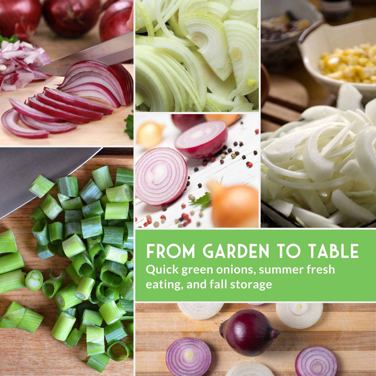 Collage of various onions and green onions with text about vegetable preparation.