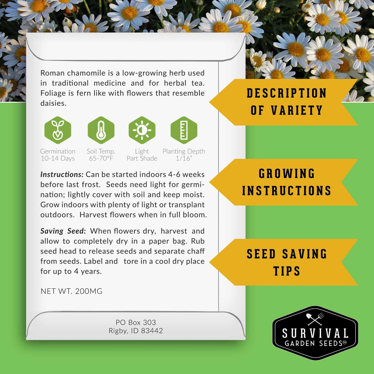 Seed packet with growing instructions and seed saving tips on a green background with flowers.