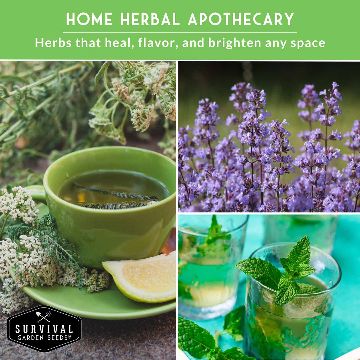 Collage of herbs and tea with text 'Home Herbal Apothecary' and 'Survival Garden Seeds' logo.