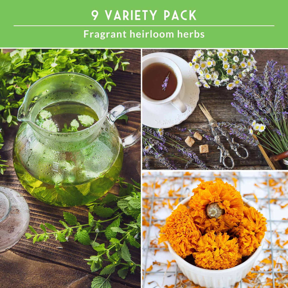 Collage of fragrant heirloom herbs including a teapot with green liquid, a cup of tea with lavender, and marigold flowers.