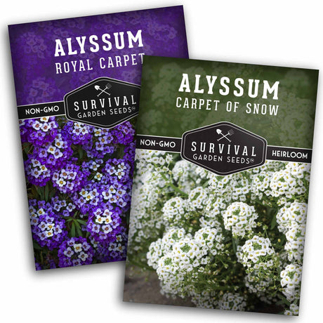 2 Packets of Alyssum Seeds - Purple and White