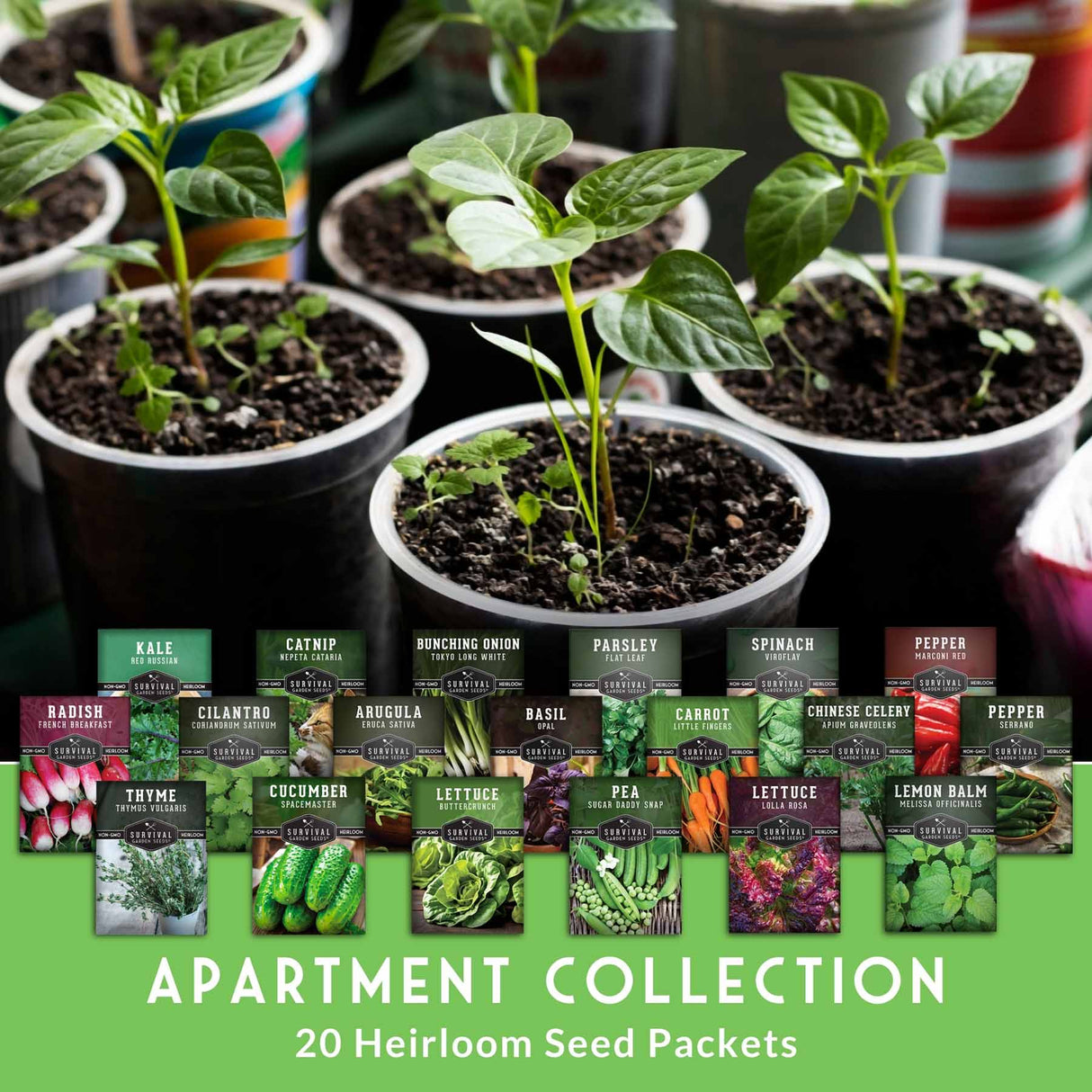 Collection of potted plants and seed packets labeled 'Apartment Collection' with 20 heirloom seed packets.