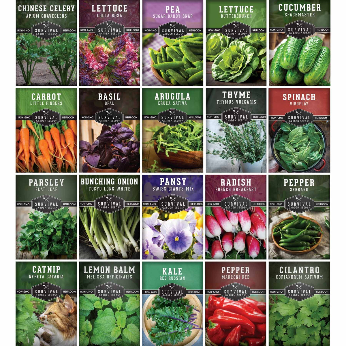 A 4x5 grid of 20 seed packet illustrations for Survival Gardens, featuring various vegetables and herbs like Chinese Celery, Lettuce, Pea, Carrot, Basil, Arugula, Thyme, Spinach, Parsley, Bunching Onion, Pansy, Radish, Pepper, Catnip, Lemon Balm, Kale, and Cilantro. Each packet shows a colorful photo of the plant in growth and harvest, with the plant name, variety, and 'Survival Gardens' brand logo.