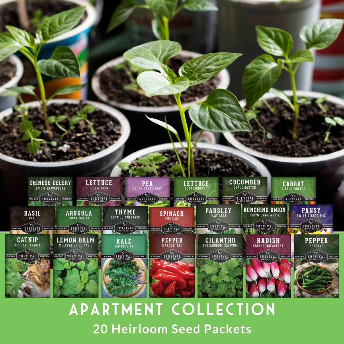 A collection of 20 heirloom seed packets arranged in front of potted pepper plants. The packets display various herb and vegetable varieties including lettuce, cucumber, spinach, parsley, radish, basil, kale, and arugula, each with a different colored label.