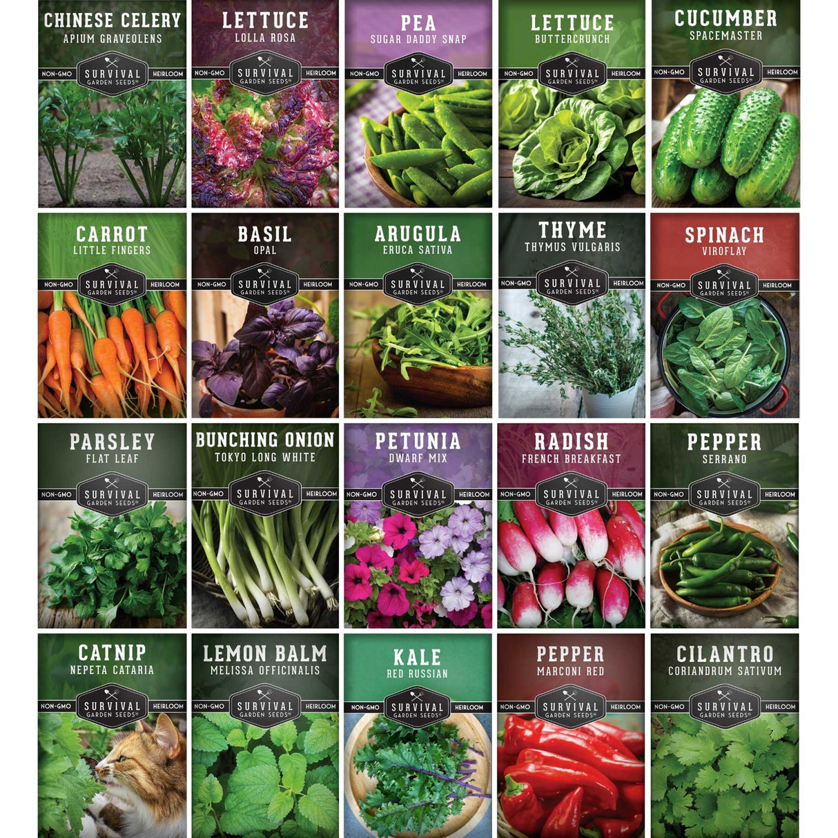 A 5x5 grid of square seed packet illustrations for Survival Seeds, showing different vegetables and herbs including Chinese Celery, Lettuce, Pea, Carrot, Basil, Arugula, Thyme, Spinach, Parsley, Bunching Onion, Petunia, Radish, Pepper, Catnip, Lemon Balm, Kale, and Cilantro.