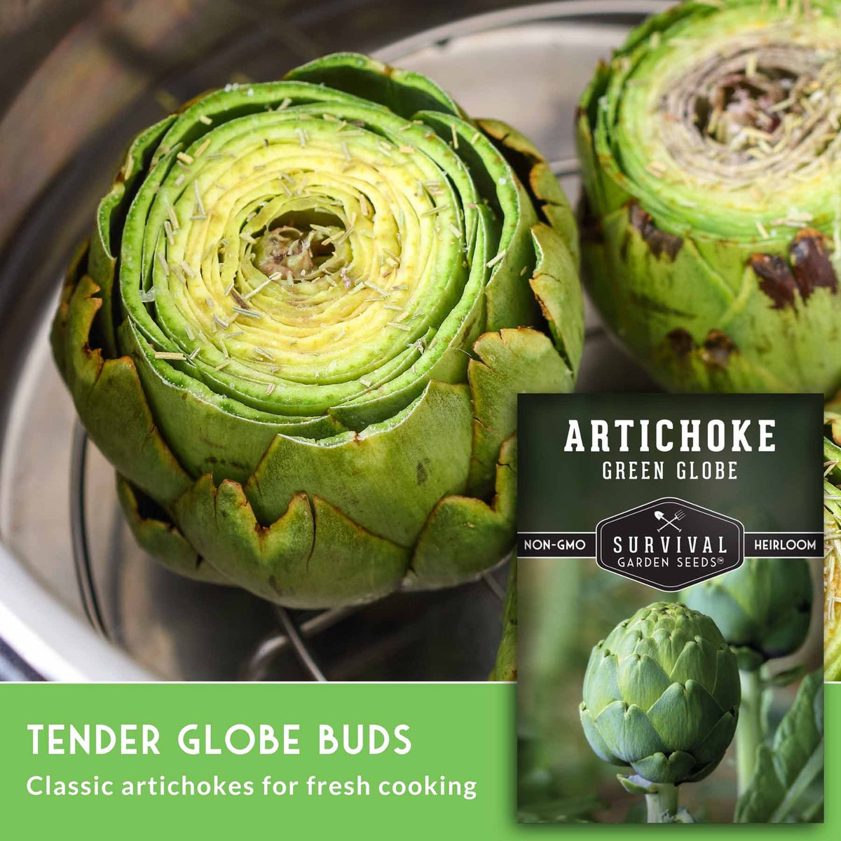 Two green artichokes on a metal surface with a product label overlay reading 'ARTICHOKE GREEN GLOBE' and 'TENDER GLOBE BUDS Classic artichokes for fresh cooking.'.