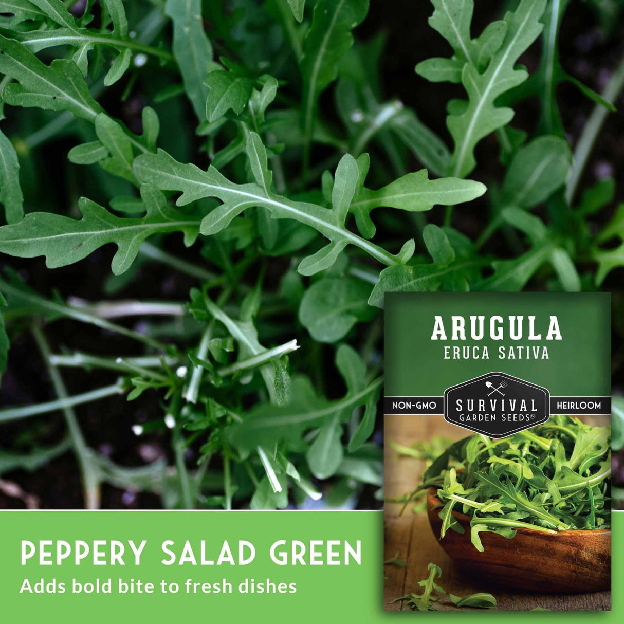 Arugula leaves with a seed packet labeled 'Survival Garden Seeds' on a green background.