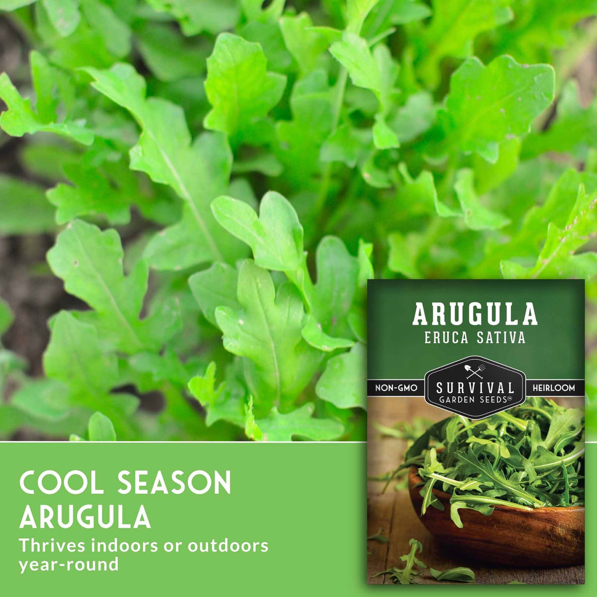 Arugula plant with a seed packet labeled 'Survival Garden Seeds' on a green background.