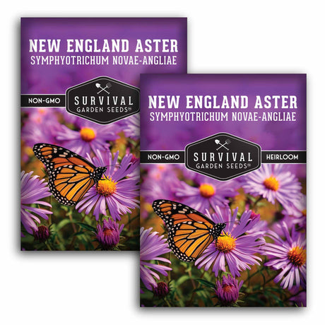2 Packets of New England Aster Seeds