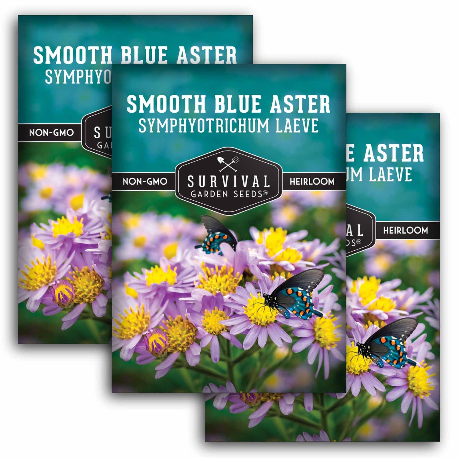 3 Packets of Smooth Blue Aster Seeds