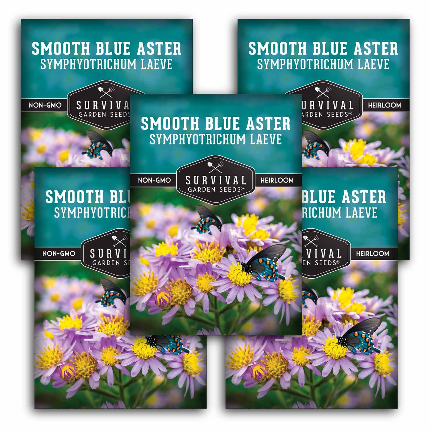 5 Packets of Smooth Blue Aster Seeds