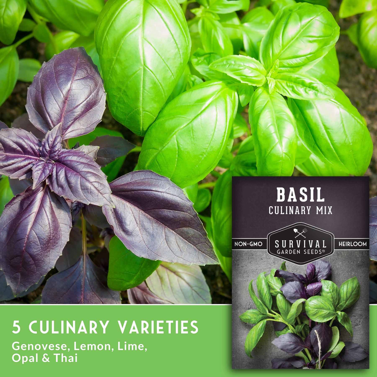 Basil culinary mix seed packet shown over a close-up of fresh basil plants, with text reading '5 Culinary Varieties' and listing Genovese, Lemon, Lime, Opal & Thai. The packet is labeled Survival Garden Seeds and says Non-GMO, Heirloom, and Basil Culinary Mix.