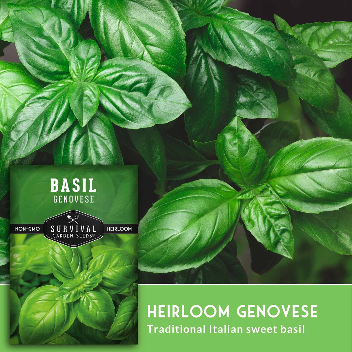 Basil seed packet for Survival Garden Seeds Heirloom Genovese shown over a close-up photo of fresh green basil leaves, with a green banner reading 'HEIRLOOM GENOVESE Traditional Italian sweet basil'.