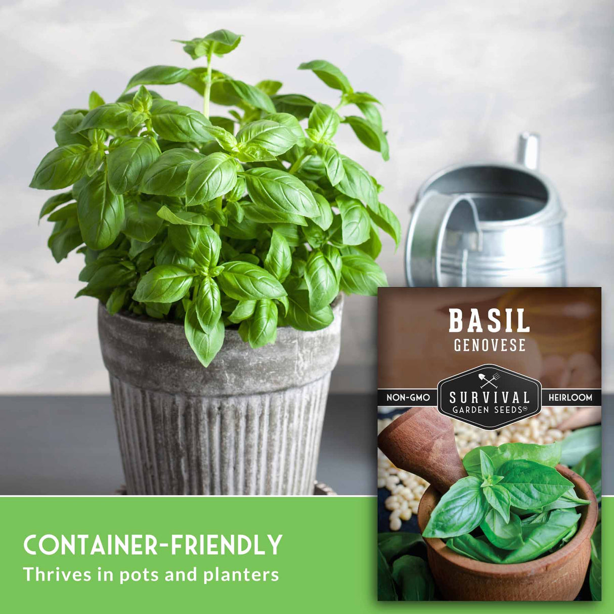 Potted basil plant with a seed packet labeled 'Basil Genovese' on a neutral background.