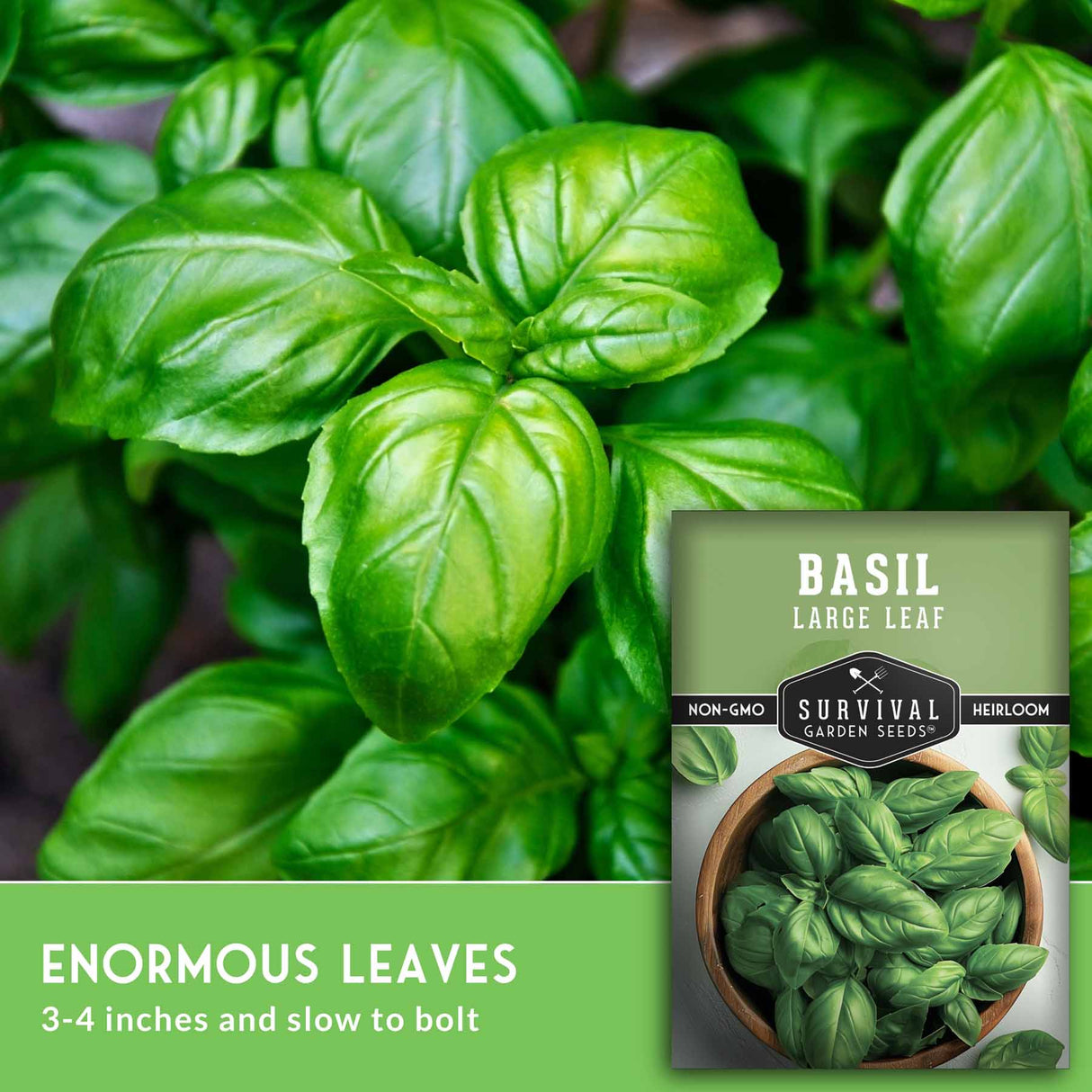 Basil plant with a seed packet labeled 'Survival Garden Seeds' on a green background