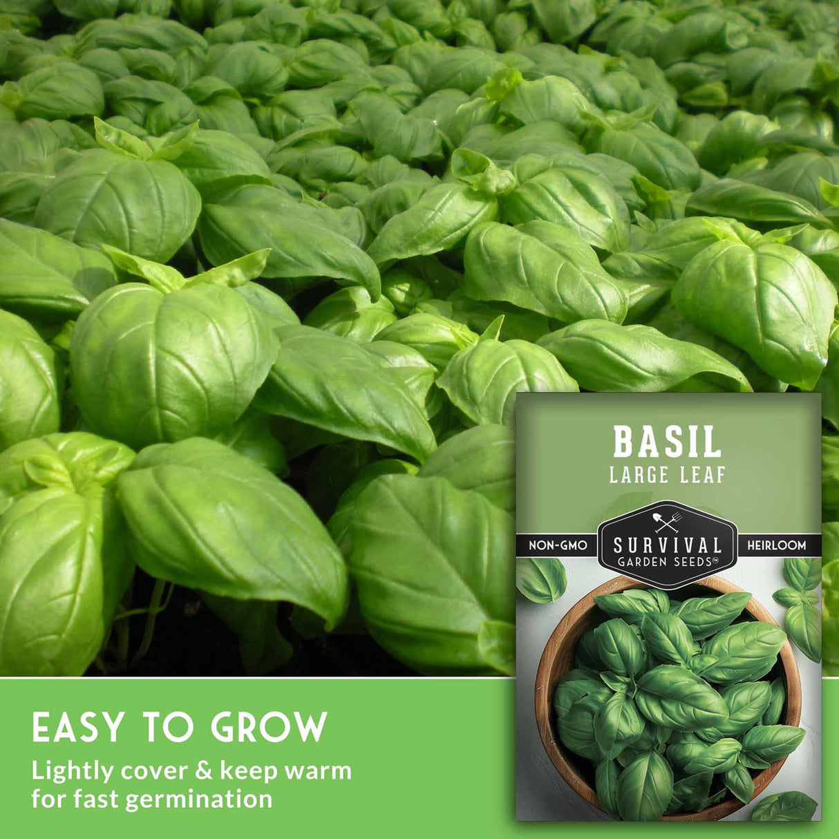 Basil plants with a seed packet labeled 'Survival Garden Seeds' on a green background.